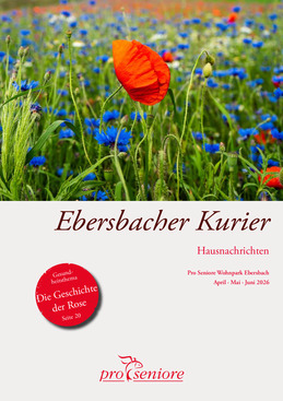 PDF Vorschau